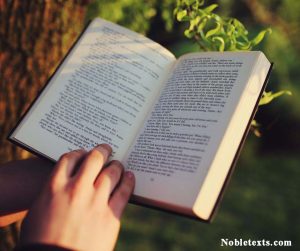 How Many Paragraphs Is 300 Words? Clear Guide With Simple Examples